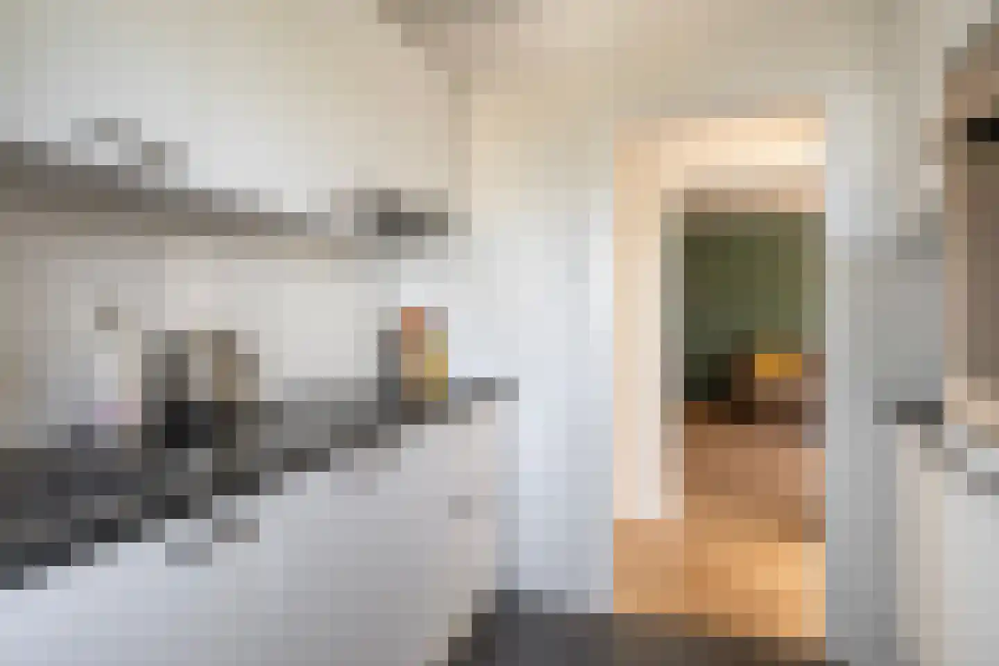 Louis Raemaekersstraat 23 Schiedam thumbnail 12