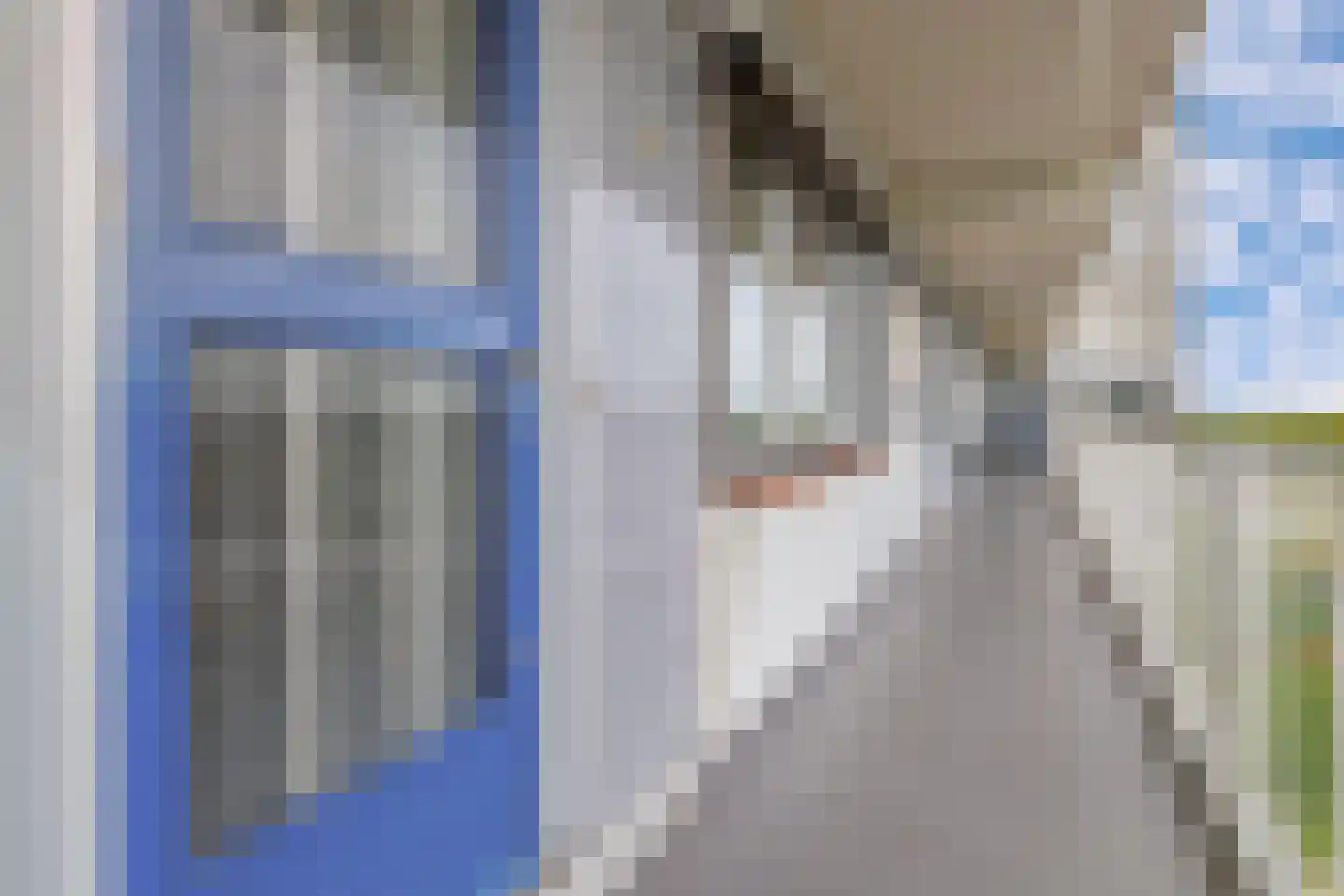 Louis Raemaekersstraat 247 Schiedam thumbnail 12