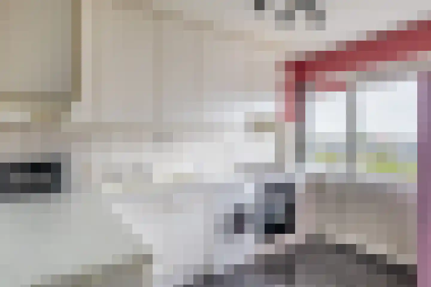 Louis Raemaekersstraat 247 Schiedam thumbnail 24