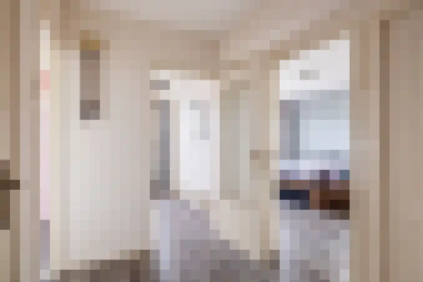 Louis Raemaekersstraat 247 Schiedam thumbnail 27