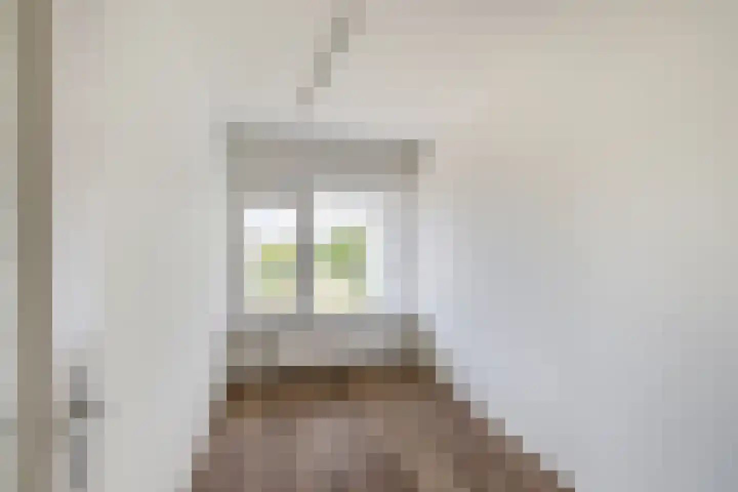 Louis Raemaekersstraat 25 Schiedam thumbnail 22