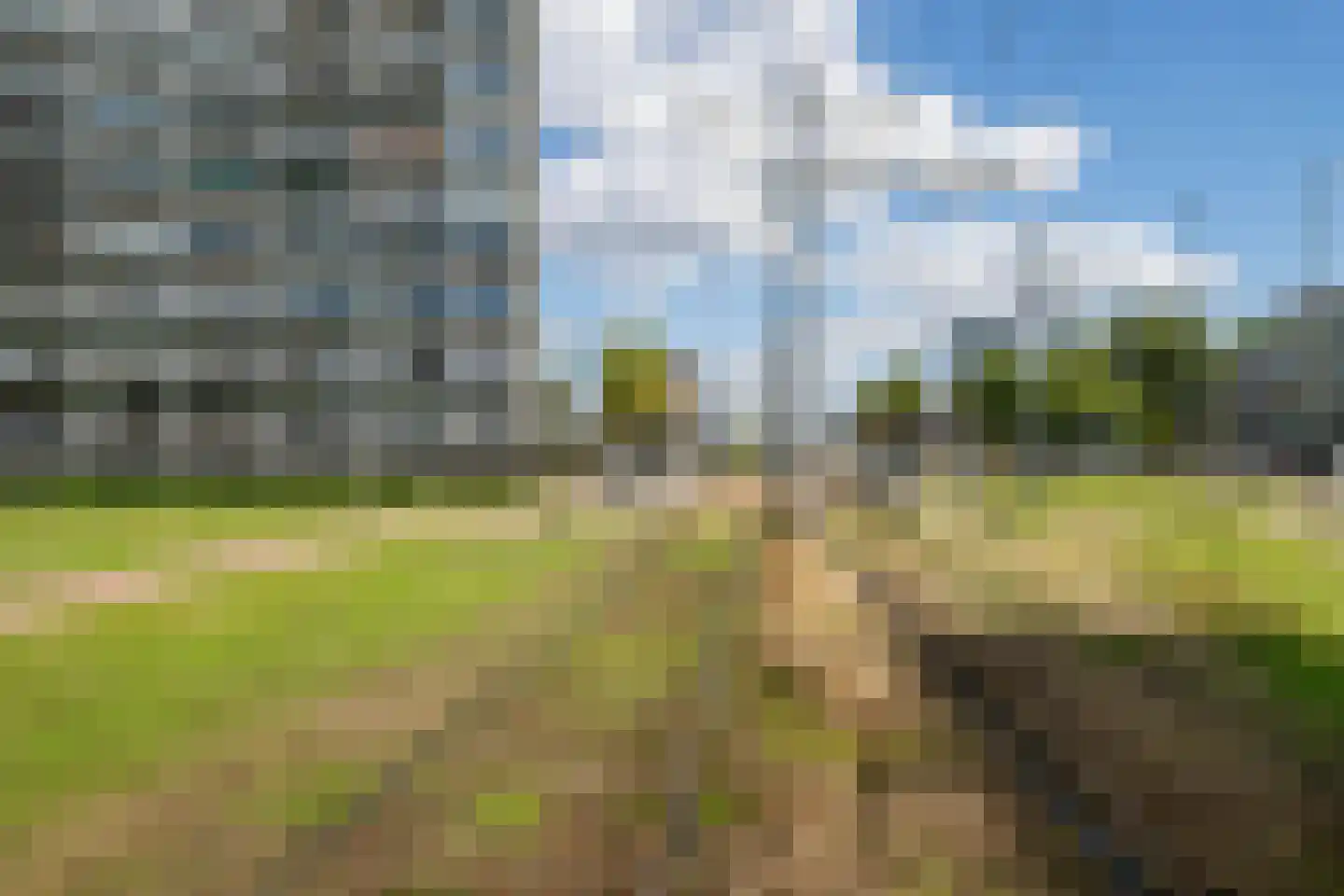 Louis Raemaekersstraat 25 Schiedam thumbnail 28