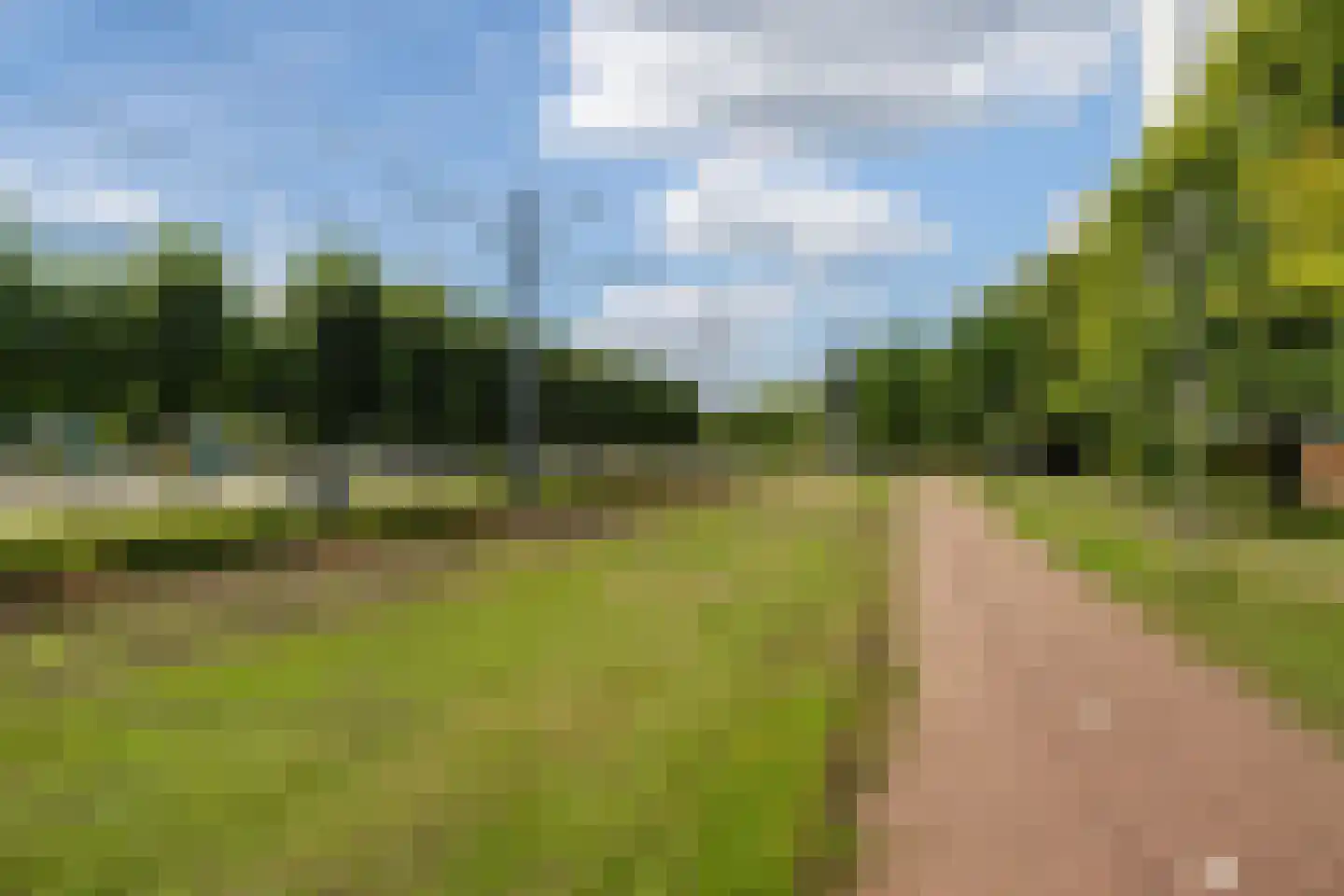 Louis Raemaekersstraat 25 Schiedam thumbnail 29