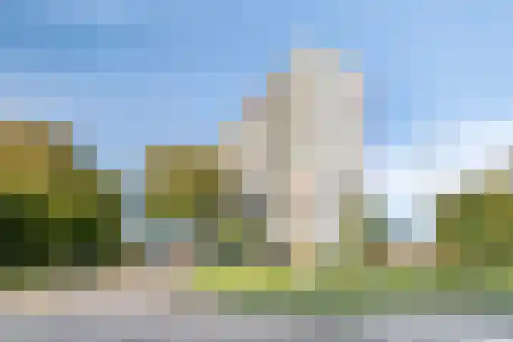 Louis Raemaekersstraat 289 Schiedam thumbnail 25