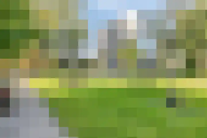 Louis Raemaekersstraat 289 Schiedam thumbnail 26
