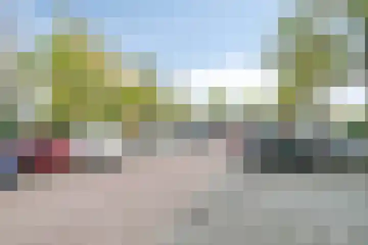 Louis Raemaekersstraat 289 Schiedam thumbnail 27