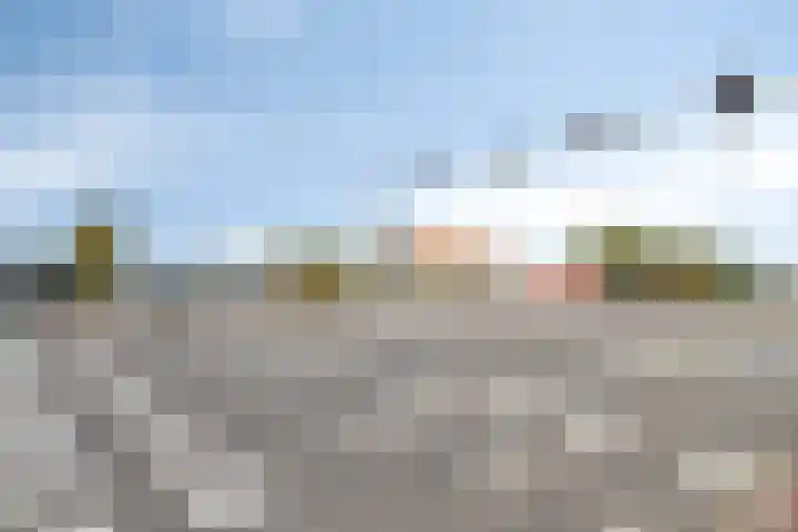 Louis Raemaekersstraat 289 Schiedam thumbnail 30