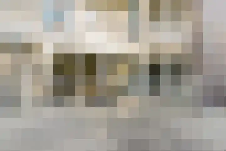 Louis Raemaekersstraat 289 Schiedam thumbnail 31