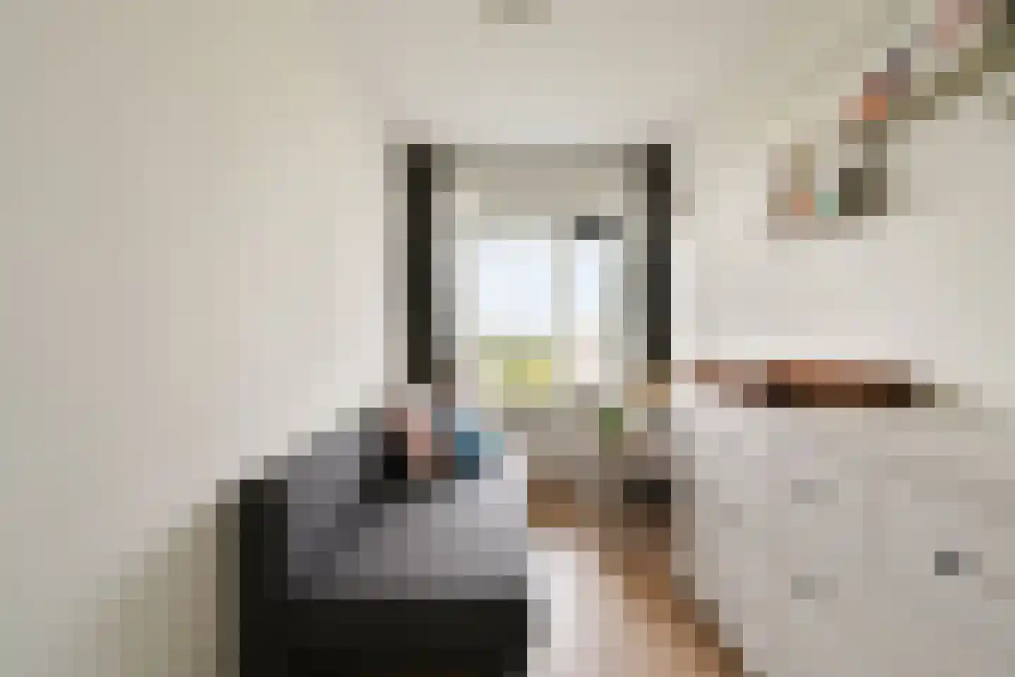 Louis Raemaekersstraat 297 Schiedam thumbnail 14