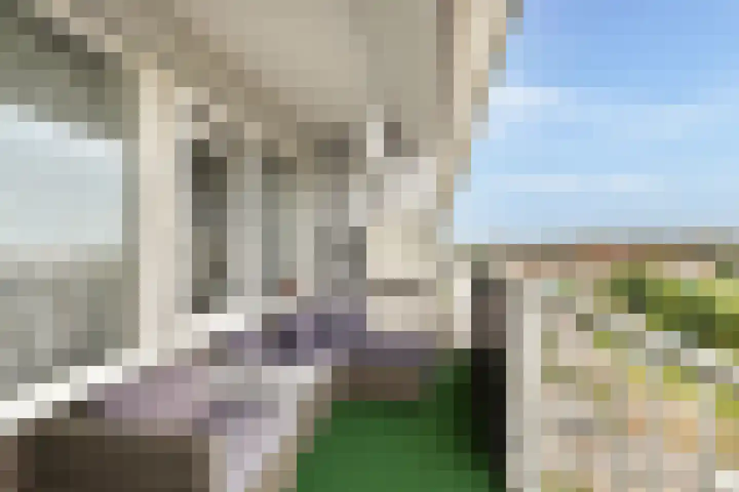 Louis Raemaekersstraat 297 Schiedam thumbnail 7