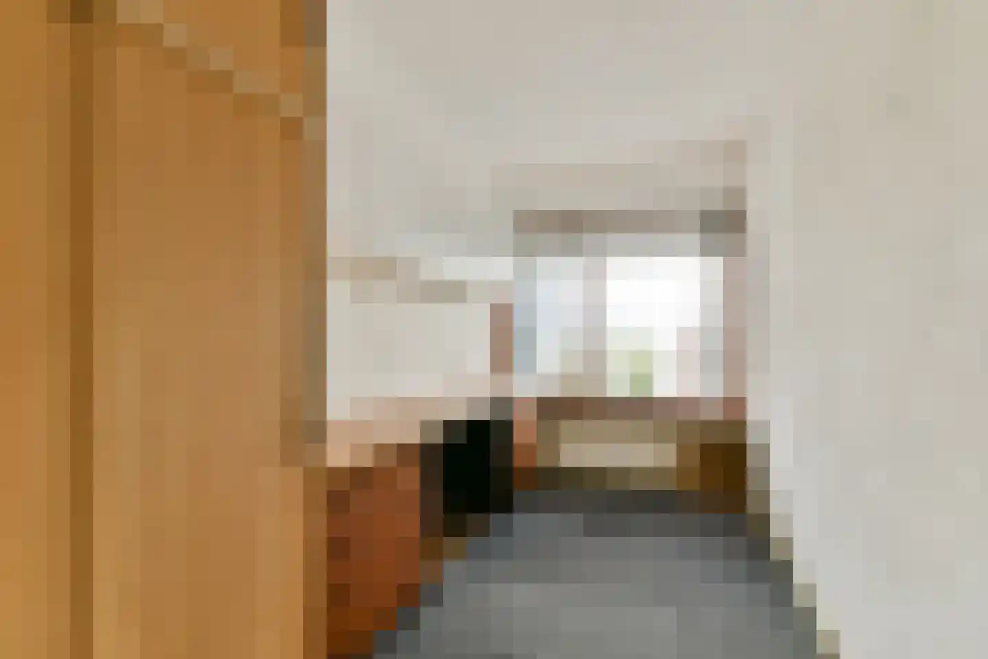 Louis Raemaekersstraat 299 Schiedam thumbnail 19