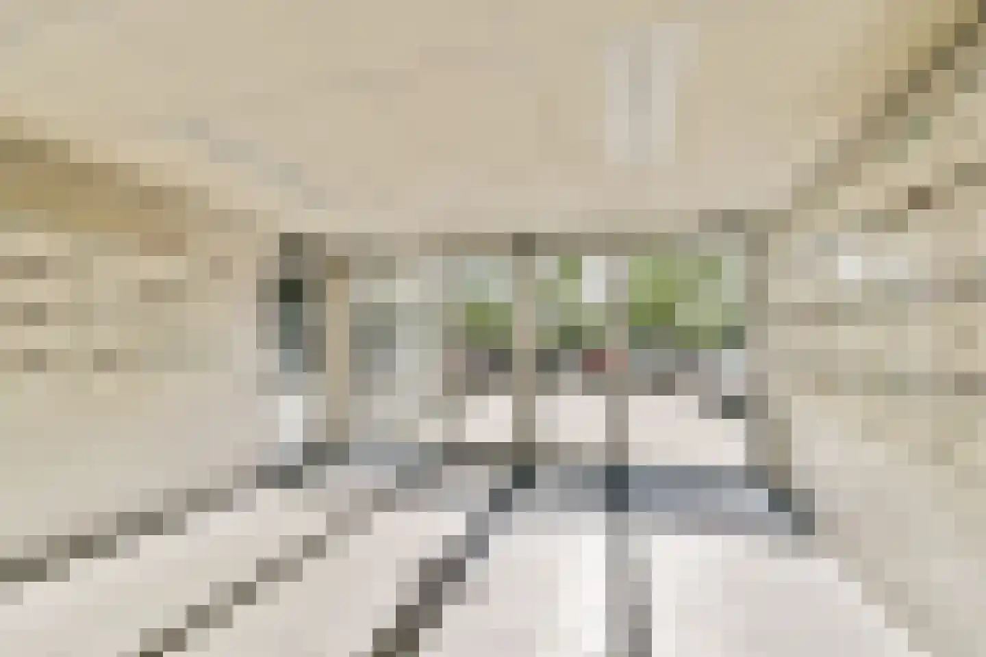 Louis Raemaekersstraat 299 Schiedam thumbnail 22