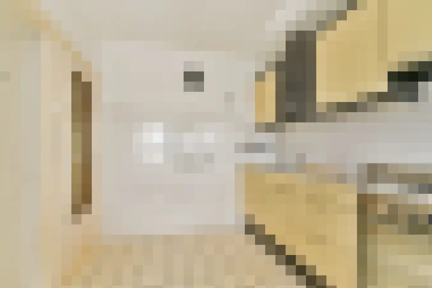 Louis Raemaekersstraat 299 Schiedam thumbnail 7