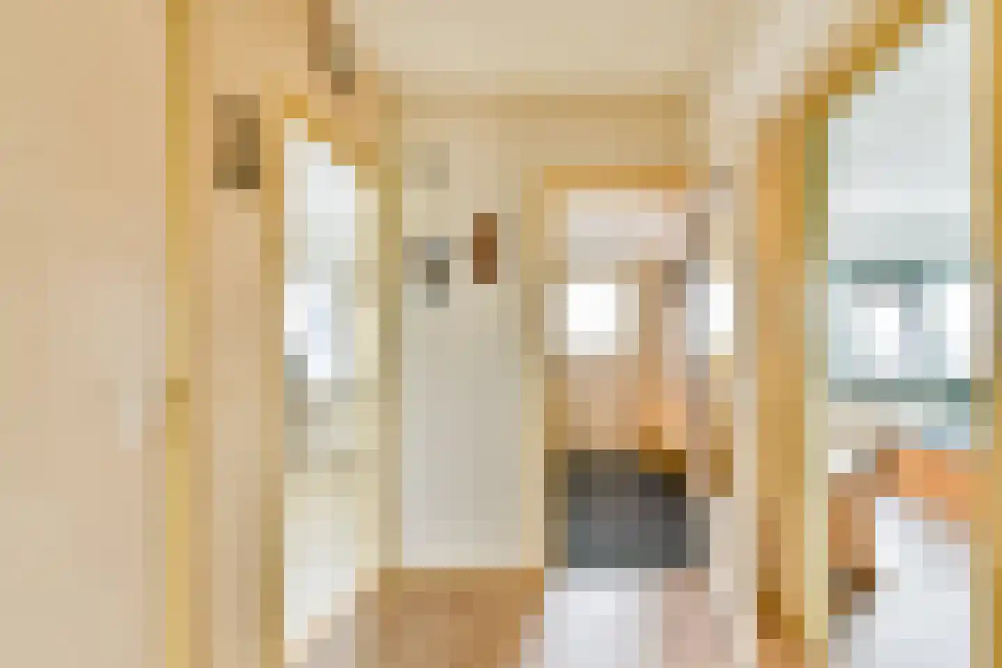 Louis Raemaekersstraat 299 Schiedam thumbnail 9