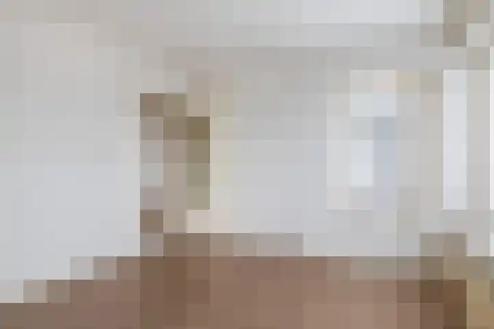 Louis Raemaekersstraat 301 Schiedam thumbnail 19