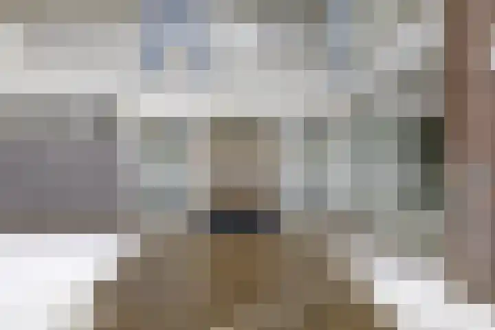 Louis Raemaekersstraat 301 Schiedam thumbnail 27
