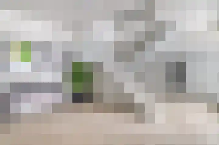 Louis Raemaekersstraat 301 Schiedam thumbnail 28