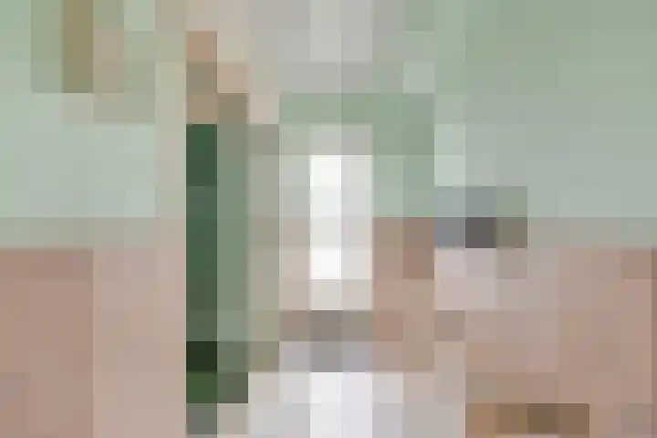 Louis Raemaekersstraat 37 Schiedam thumbnail 7