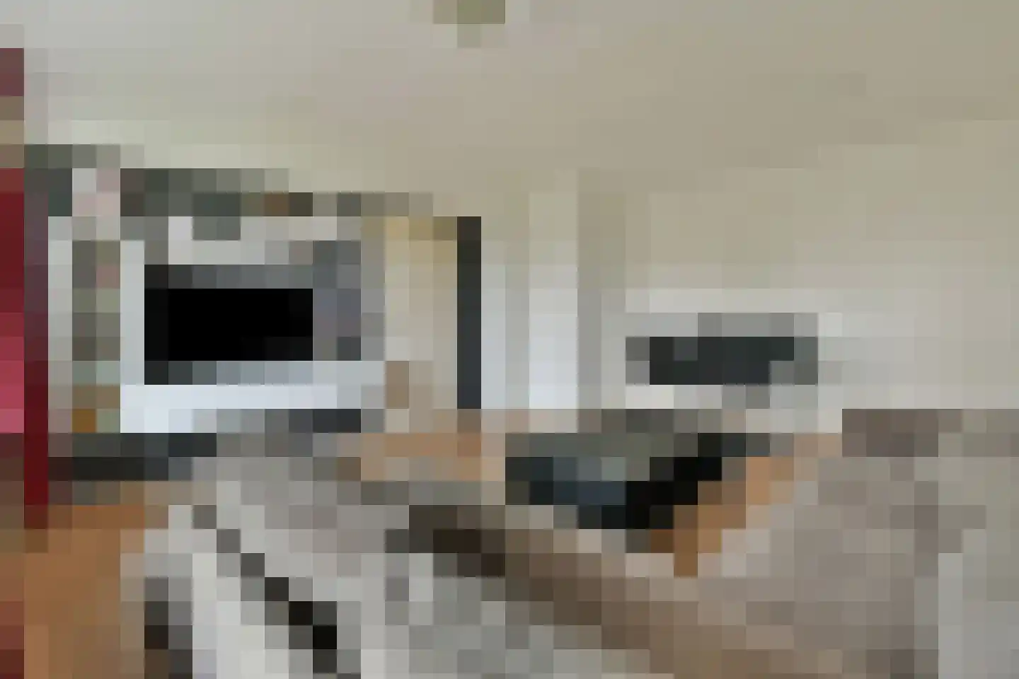 Louis Raemaekersstraat 47 Schiedam thumbnail 7