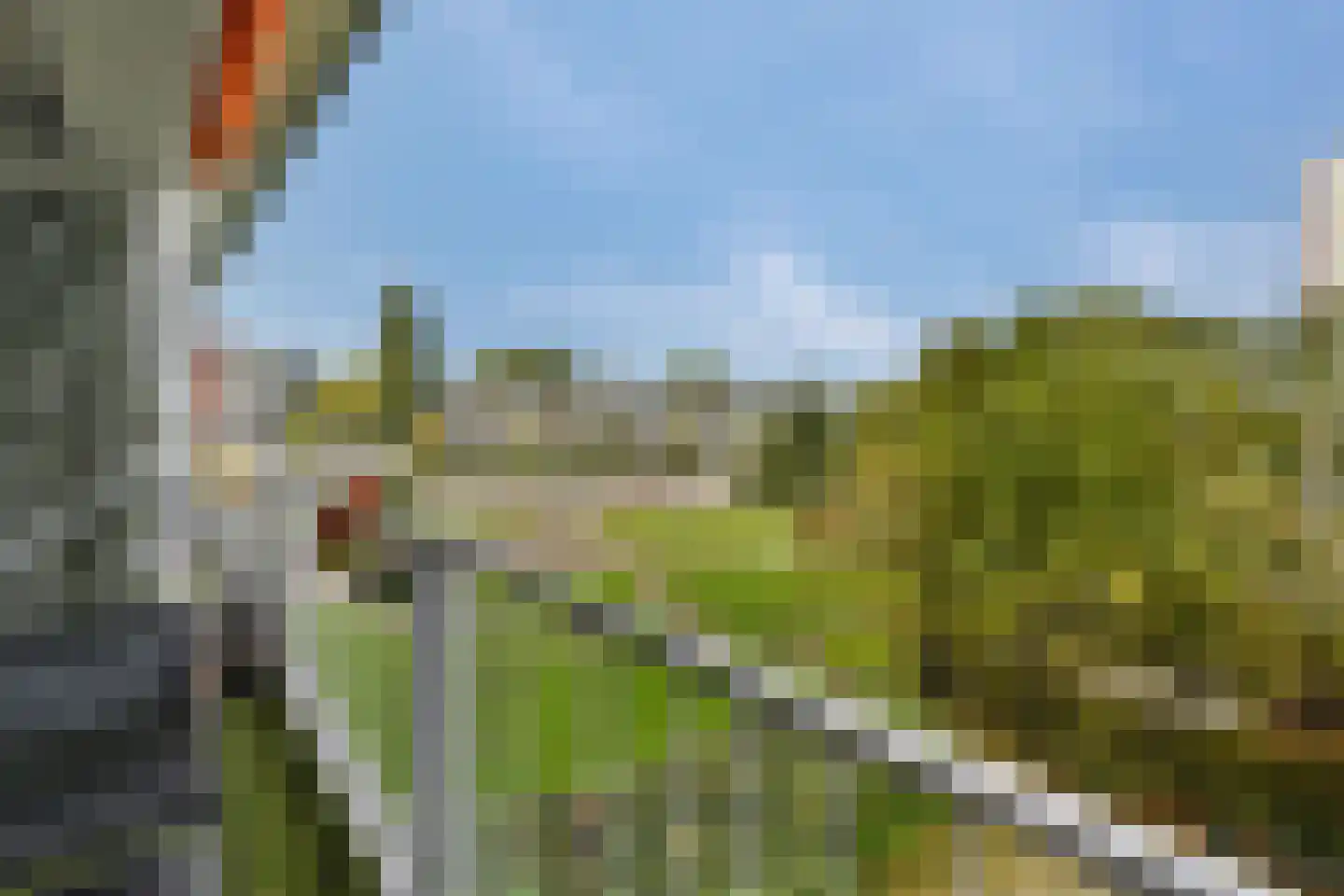 Louis Raemaekersstraat 47 Schiedam thumbnail 8