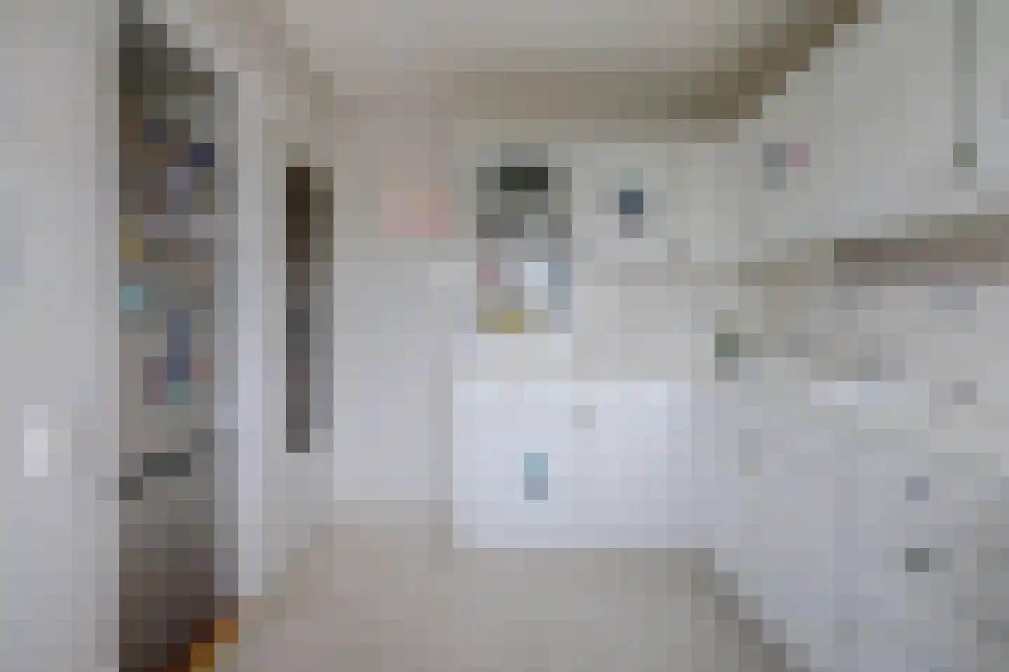 Louis Raemaekersstraat 49 Schiedam thumbnail 17