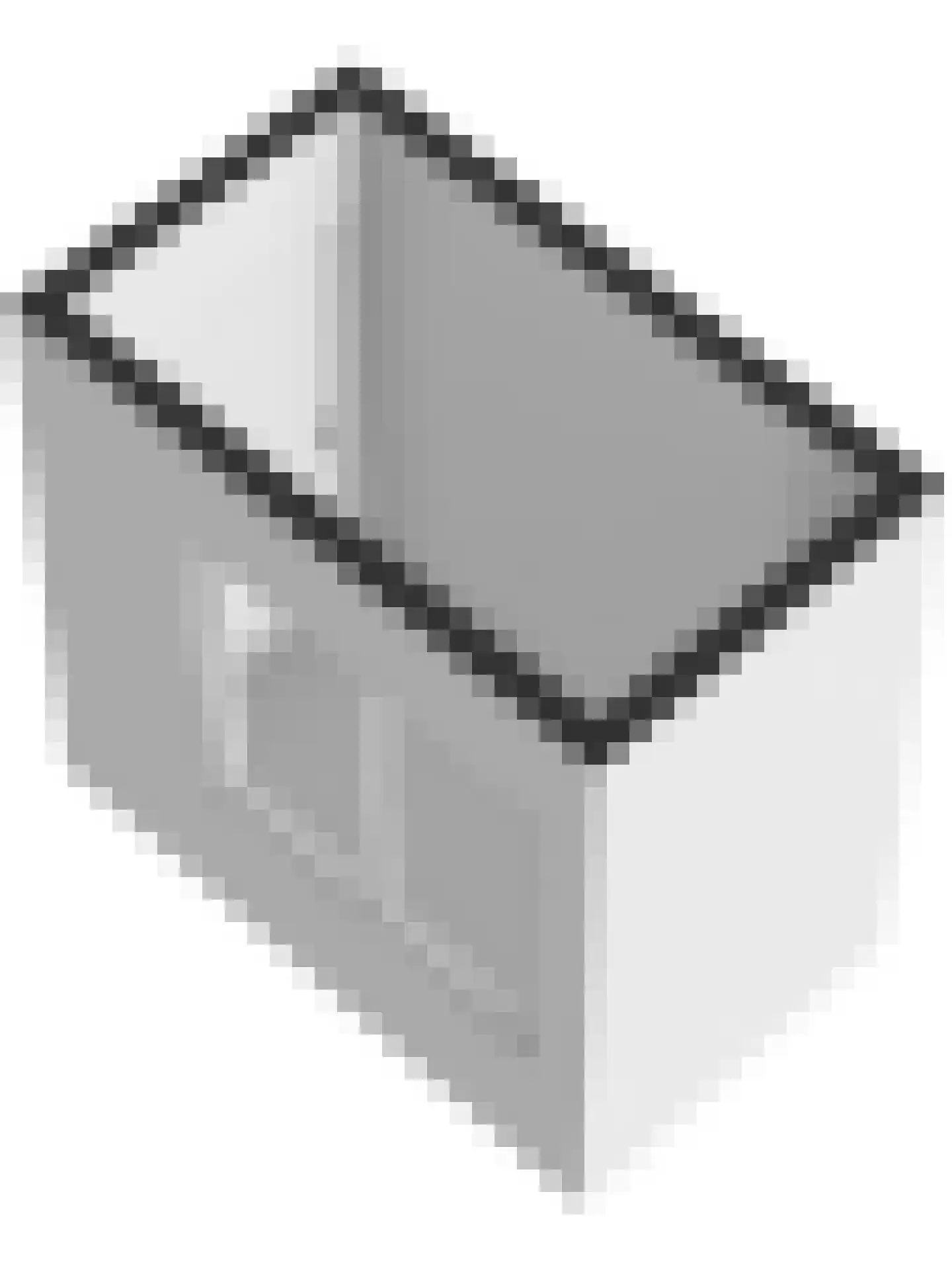 Louis Raemaekersstraat 49 Schiedam thumbnail 45