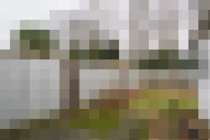 Louis Regoutstraat 59 Weert thumbnail 37