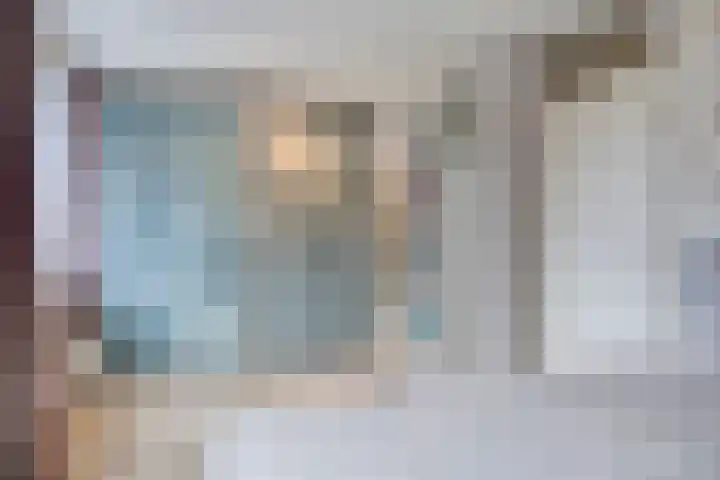 Louis Saalbornstraat 8 Hengelo thumbnail 33