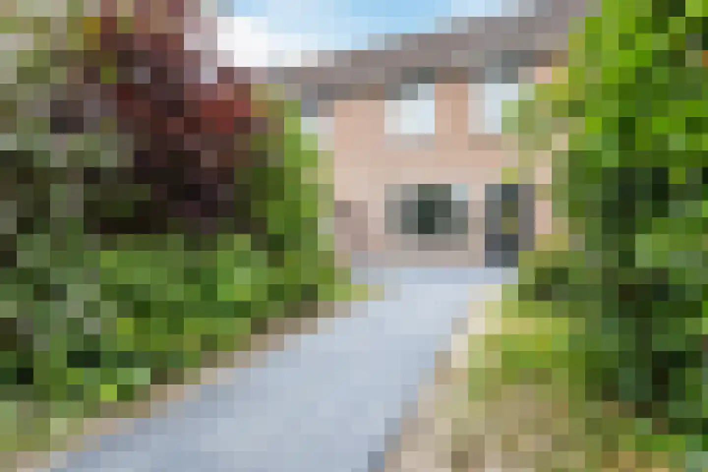 Louis van Gasterenstraat 194 Hengelo thumbnail 33