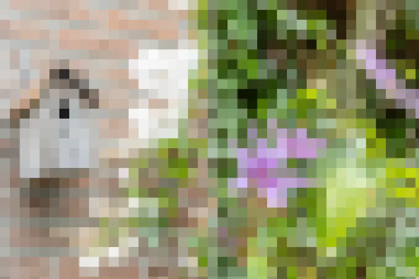 Louis van Gasterenstraat 194 Hengelo thumbnail 36