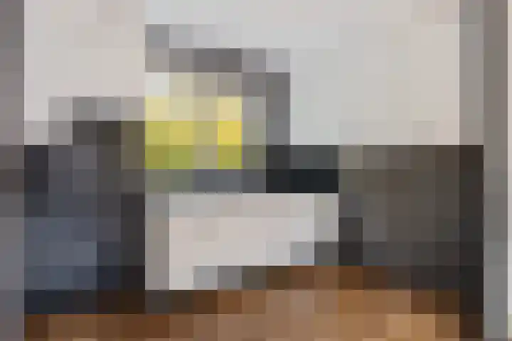 Louis van Gasterenstraat 204 Hengelo thumbnail 13