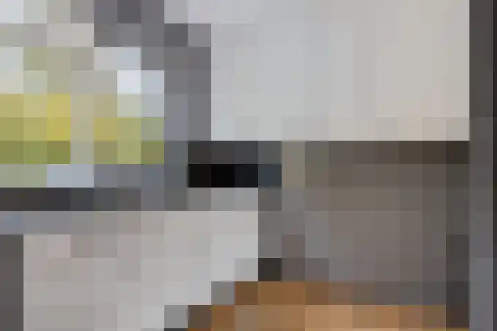 Louis van Gasterenstraat 204 Hengelo thumbnail 14
