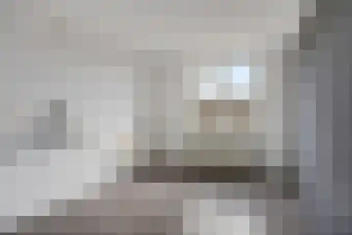 Louis van Gasterenstraat 204 Hengelo thumbnail 23