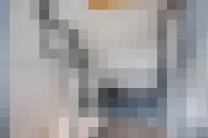 Louis van Gasterenstraat 204 Hengelo thumbnail 28