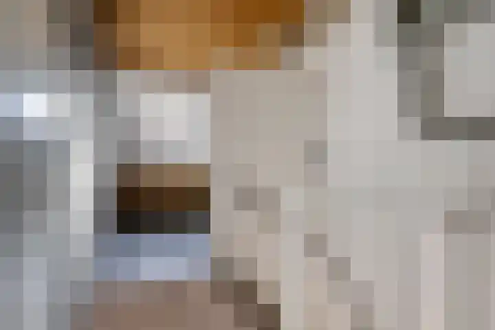 Louis van Gasterenstraat 204 Hengelo thumbnail 29