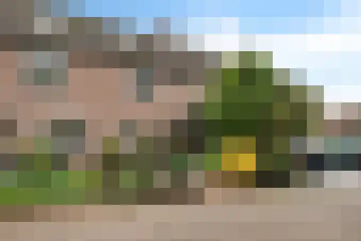 Louis van Gasterenstraat 204 Hengelo thumbnail 35