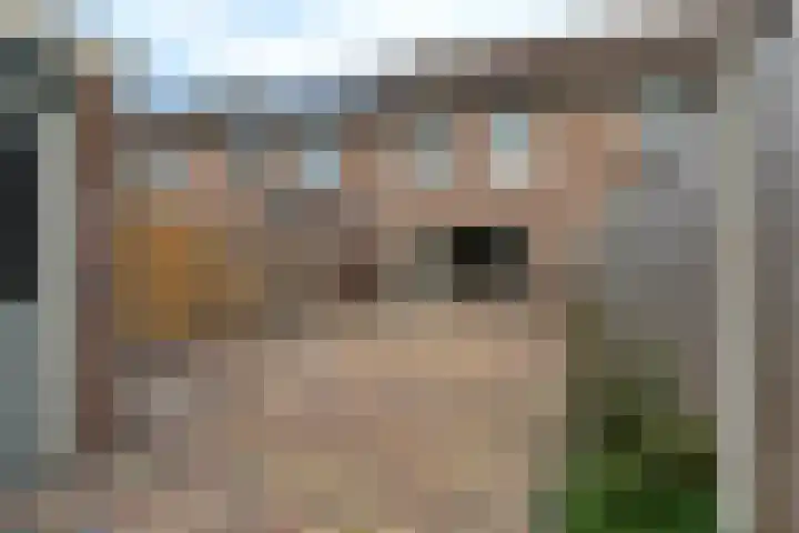 Louis van Gasterenstraat 204 Hengelo thumbnail 38