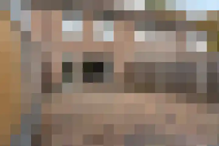 Louis van Gasterenstraat 204 Hengelo thumbnail 39