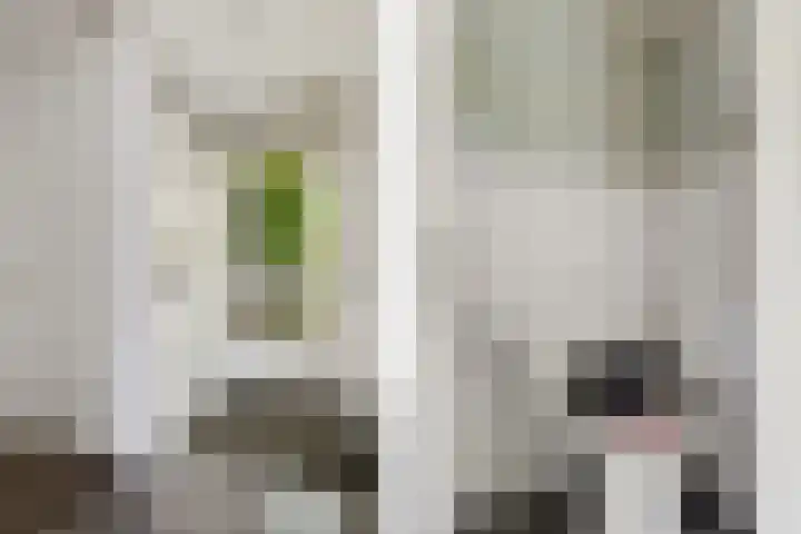 Louis van Gasterenstraat 204 Hengelo thumbnail 5