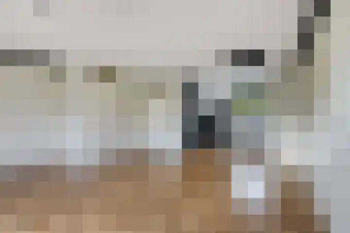 Louis van Gasterenstraat 204 Hengelo thumbnail 9