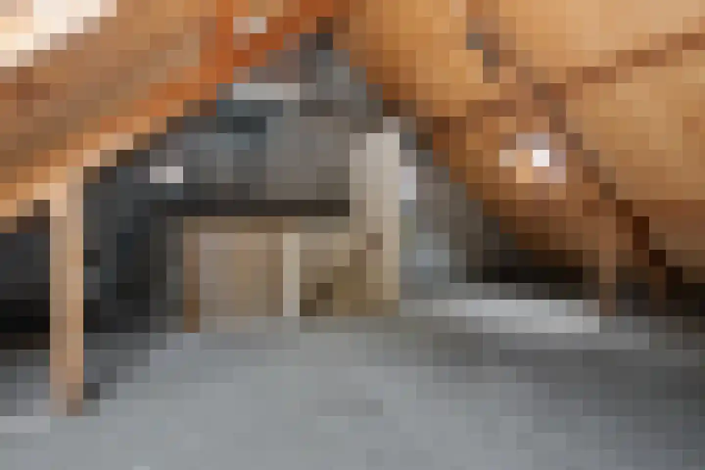 Louis van Gasterenstraat 214 Hengelo thumbnail 17