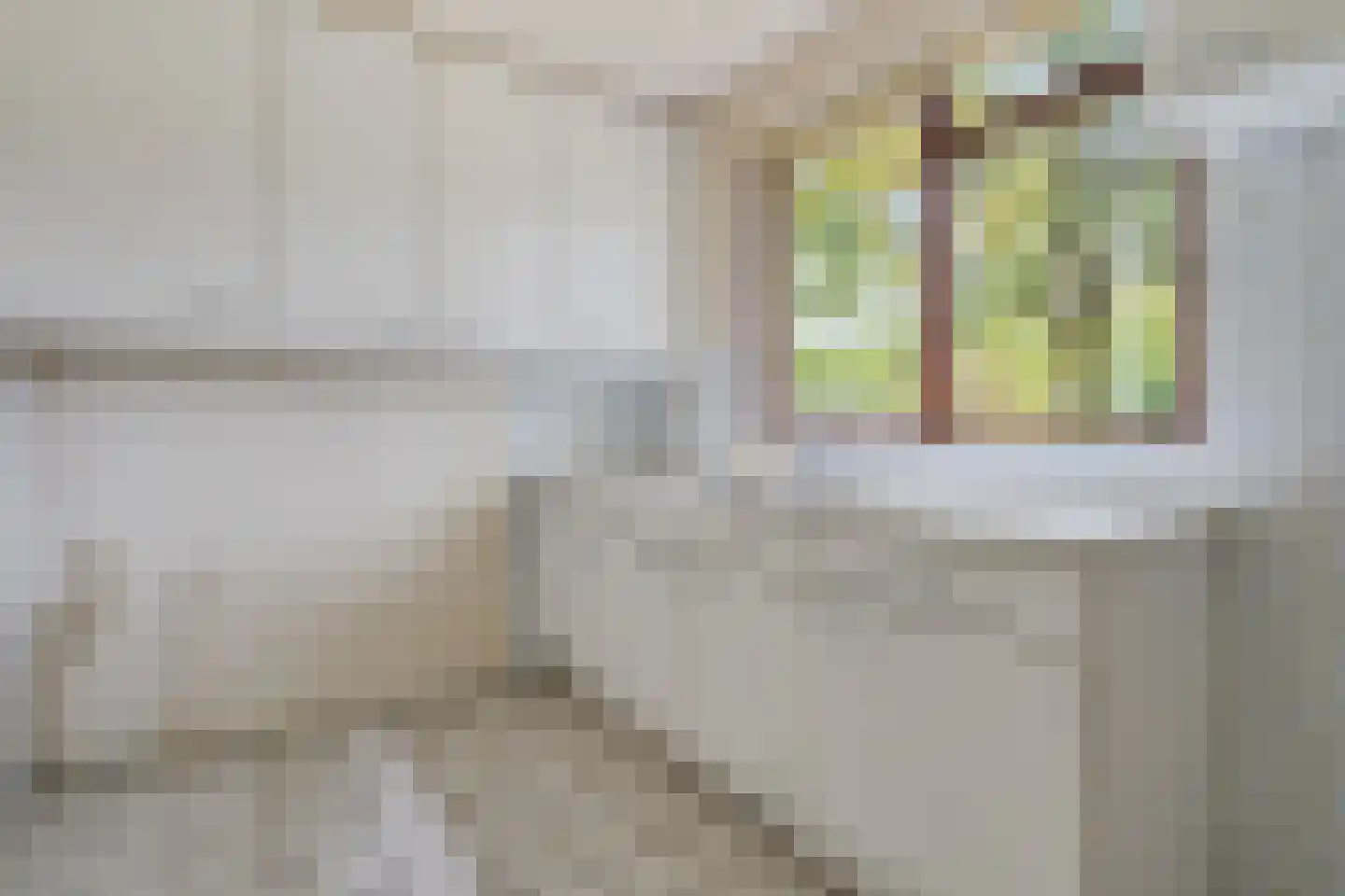 Louis van Gasterenstraat 214 Hengelo thumbnail 9