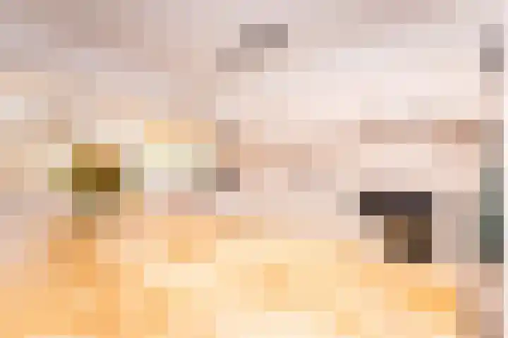 Louisa Hedwig van Catzstraat 25 Hoogwoud thumbnail 22