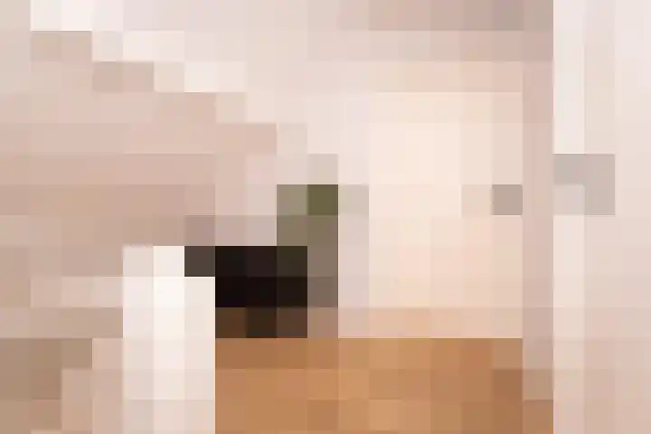 Louisa Hedwig van Catzstraat 25 Hoogwoud thumbnail 30