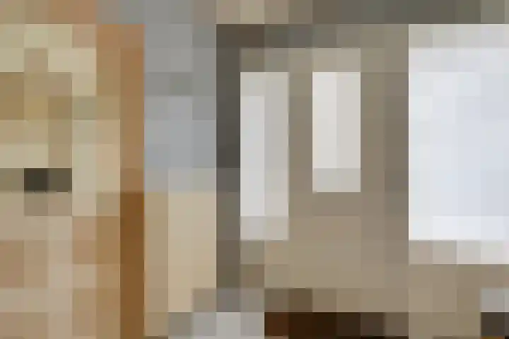 Louisa Hedwig van Catzstraat 43 Hoogwoud thumbnail 10