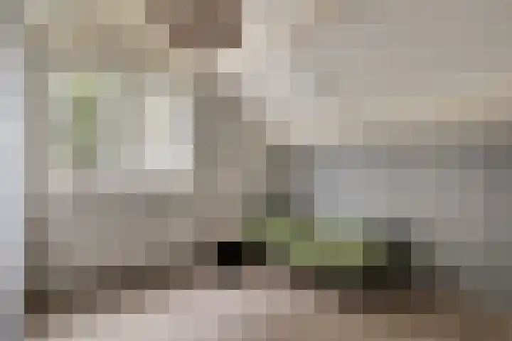 Louisa Hedwig van Catzstraat 43 Hoogwoud thumbnail 30