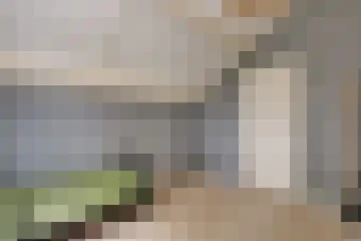 Louisa Hedwig van Catzstraat 43 Hoogwoud thumbnail 31
