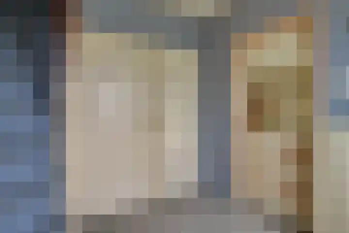 Louisa Hedwig van Catzstraat 43 Hoogwoud thumbnail 8