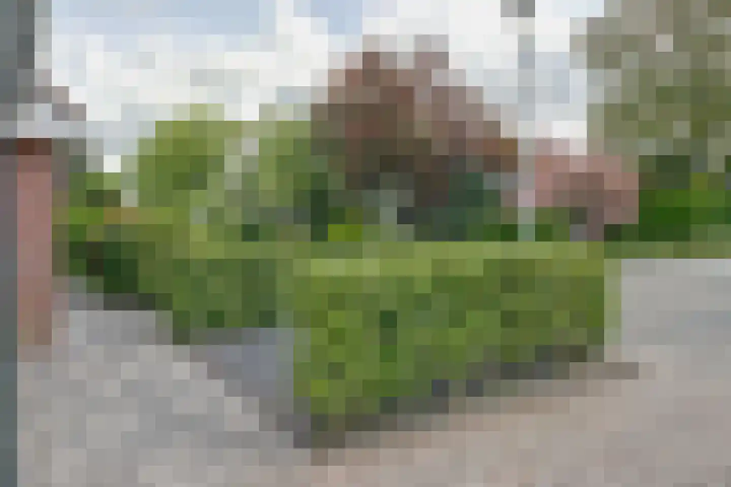 Louisa Hedwig van Catzstraat 59 a Hoogwoud thumbnail 33