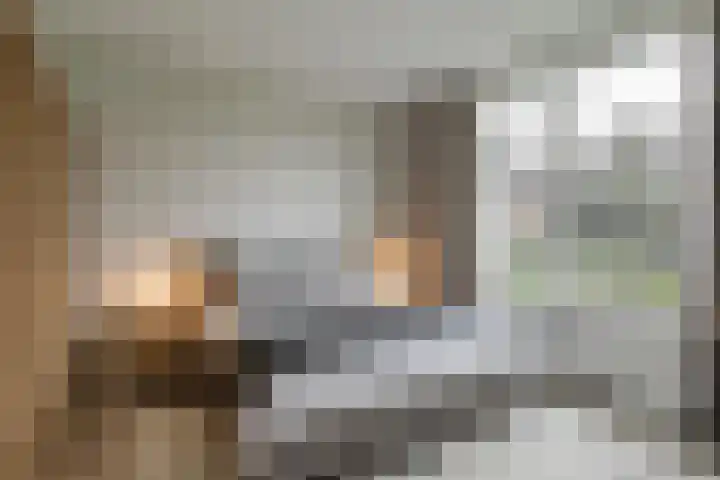 Louisa Hedwig van Catzstraat 59 Hoogwoud thumbnail 22
